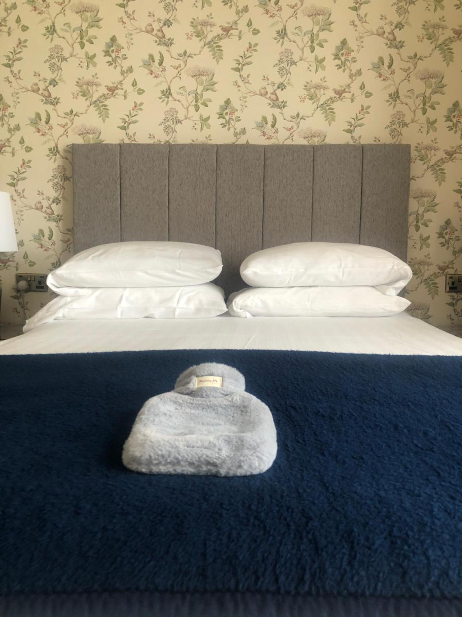 آبيريستويث Helmsman Guesthouse المظهر الخارجي الصورة